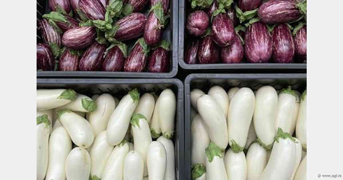 Twee nieuwe auberginevariëteiten voor ratatouillegroenten