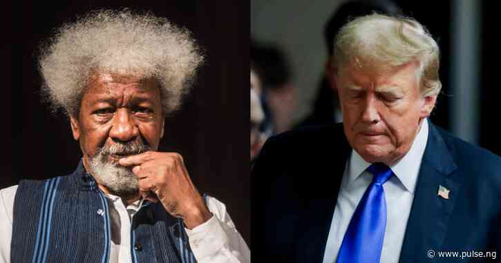 Soyinka considers reapplying for US Green Card after Trump's verdict