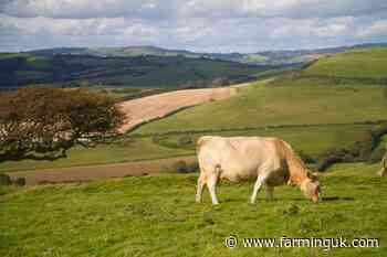 UK farm leaders underscore need for cattle electronic identification