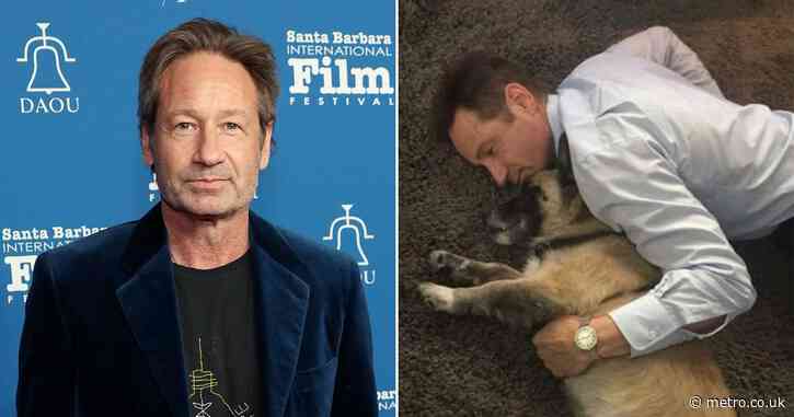 David Duchovny’s heartbreaking poem in memory of his dog has fans ‘weeping’
