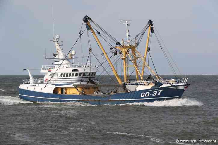 Nederlandse vissers hadden ‘zorgelijk’ 2023