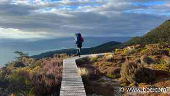 New Zealand's 61km hike to the top of the world