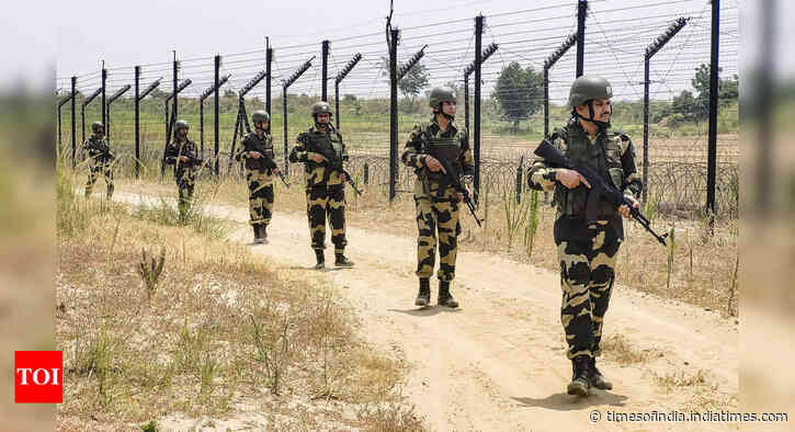 BSF seizes two drones carrying narcotics near India-Pakistan border in Punjab