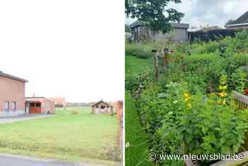 Kruidige permacultuurtuin opent tijdens ecotuindagen van Velt: “Vijf jaar geleden was tuin nog kale grasvlakte”