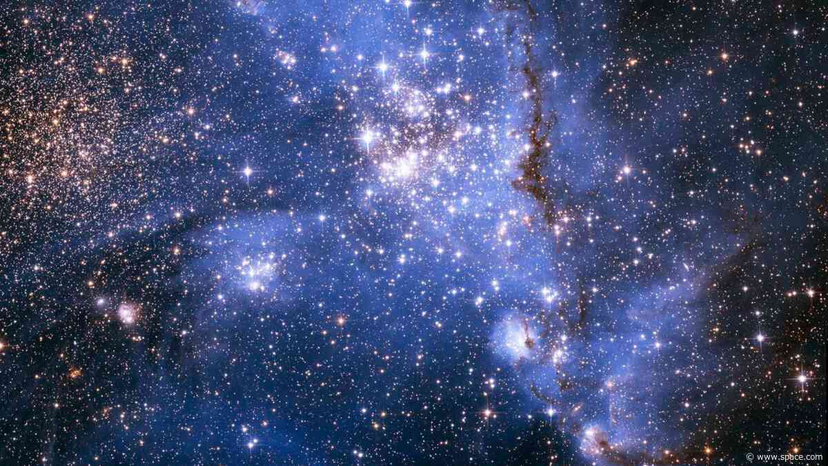 Massive, magnetic stars beyond the Milky Way detected for the 1st time