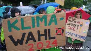 Tausende Menschen bei Klimastreiks in Hamburg und Kiel