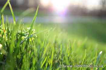 Oxford city roadside grass cutting scheduled to begin