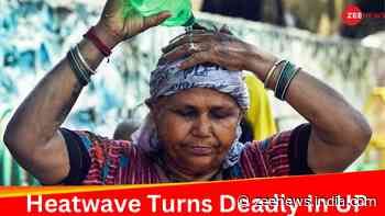 UP Heatwave: 166 Die Of Extreme Heat In Single Day, Power Cuts Spark Widespread Protests
