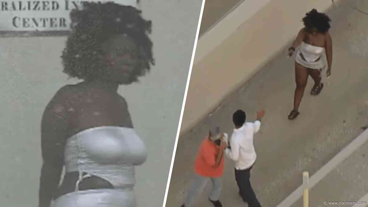 New video shows arrest of woman in alleged I-395 screwdriver attack