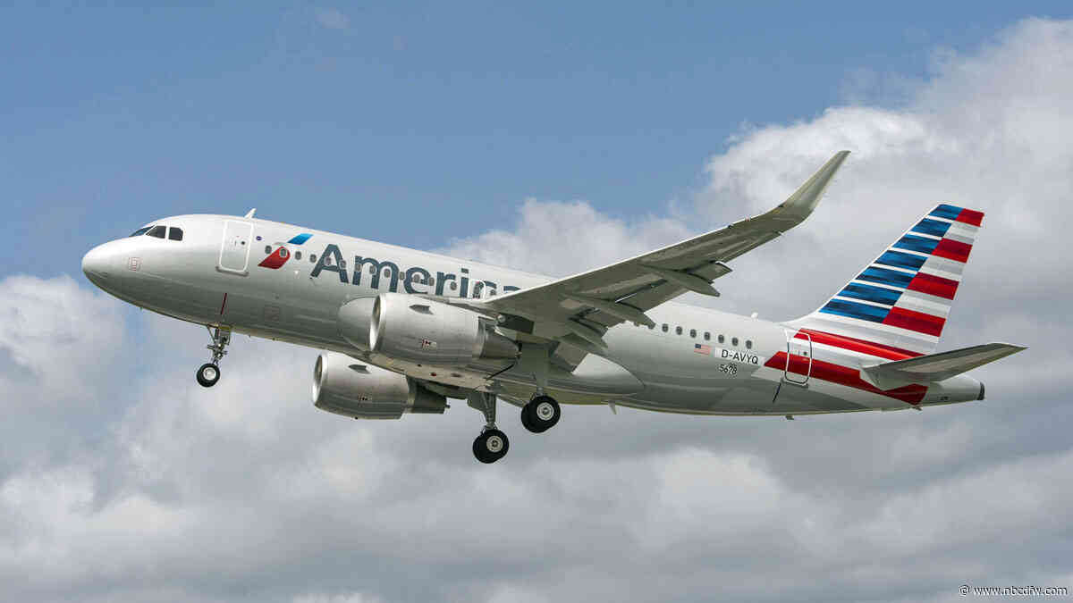 AA pilot cancels takeoff after another close call at D.C.'s Reagan National
