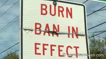 Pasco County placed under burn ban