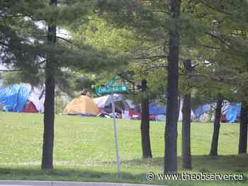 Rainbow Park camp has boosted police presence, board hears