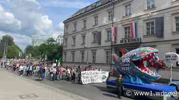 Hunderte Demonstranten bei Klimastreik in Düsseldorf