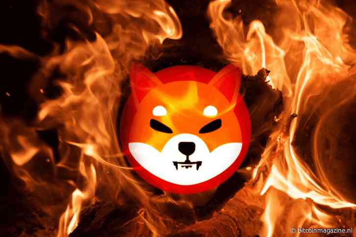 Shiba Inu burn rate neemt 300% toe, gaat de populaire crypto meme stijgen?