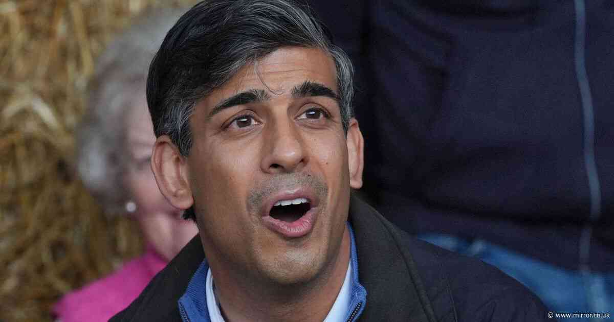 'Rishi Sunak's barmy army idea is last straw for the no-hope youth of today'