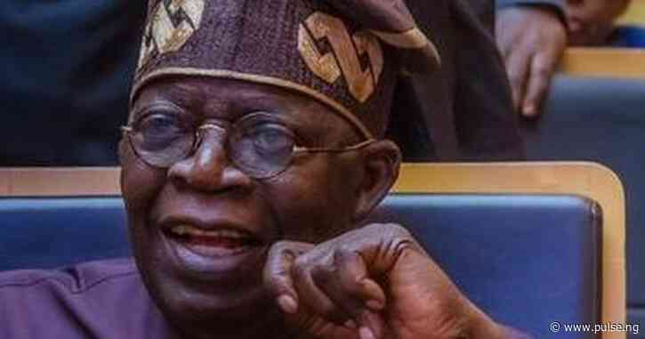 Why we performed creditably under Tinubu’s administration, Olympic Committee