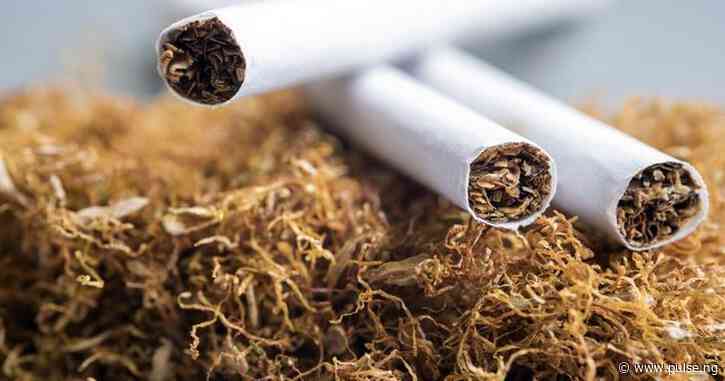 WHO advocates ban on tobacco use in Nigeria to save 4.5 million users
