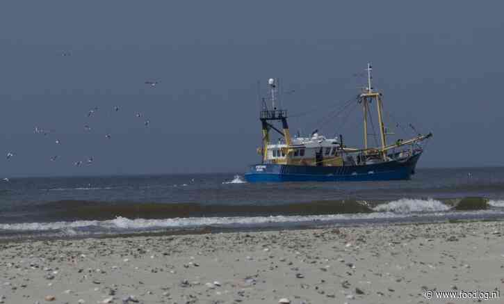 2024 opnieuw zorgelijk jaar voor Nederlandse zeevissers