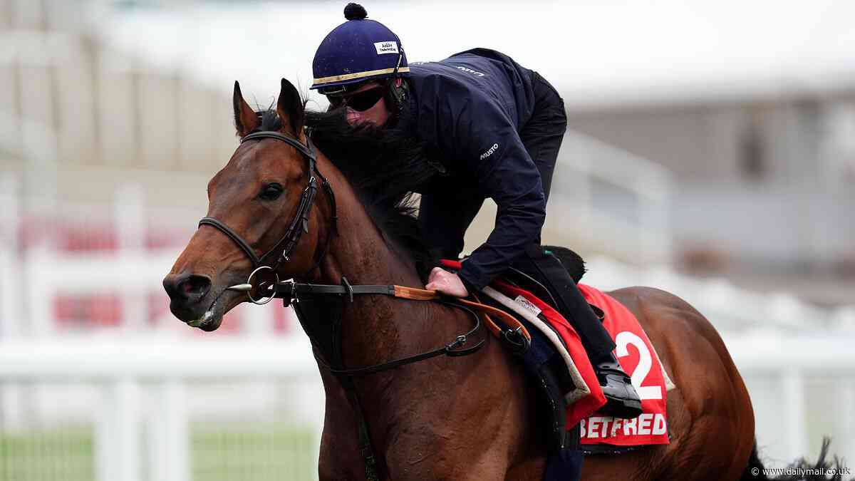My day with the great Betfred Derby hope who's ready for the run of his life: Fanshawe's laid-back star Ambiente Friendly in top shape ahead of biggest test