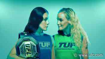 How To Watch The Ultimate Fighter: Team Grasso vs Team Shevchenko