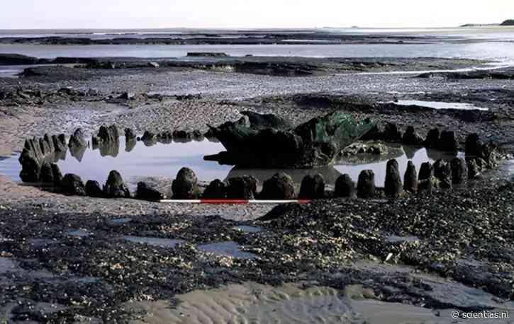 Eindelijk functie van ‘Seahenge’ onthuld: ‘de mysterieuze houten cirkel verrees om zorgen over prehistorische klimaatverandering’