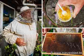 ’t Goei Leven. Guido maakt eigen honing van bloemen uit Zennedijken: natuurlijk, lekker en goed voor de gezondheid