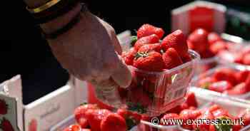 Reason why strawberries this year are sweeter than ever revealed