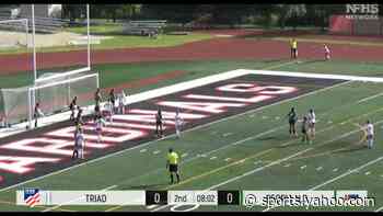 WATCH: Troy Triad scores game-winning game in IHSA soccer semifinal vs. Peoria Notre Dame