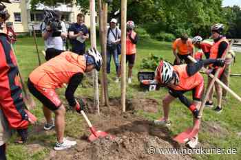 Kung-Fu-Nonnen pflanzen auf Radtour durch den Norden Klimabäume in Rostock