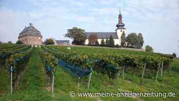 Die älteste Weinlage Deutschlands liegt in Rheinland-Pfalz