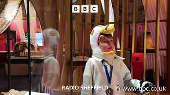 Chesterfield "seagull boy" has private museum tour