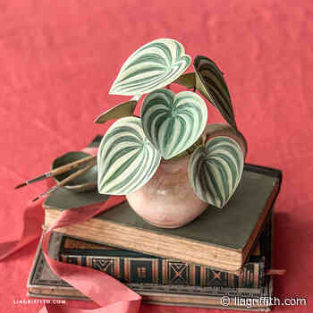 Cardstock & Watercolor Peperomia Plant