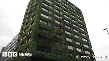 'Living' office block a 'greenprint' for future builds