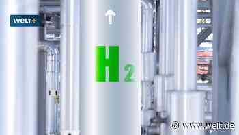 Grün und günstig – mit dieser Erfindung rückt die Wasserstoff-Ära näher denn je