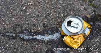Hull residents handed fines totalling nearly £9,000 for littering in April