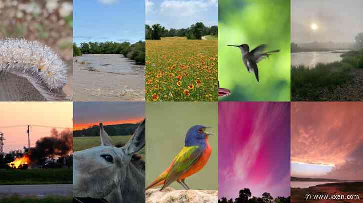 VOTE: Help us choose the best KXAN viewer photo of May 2024