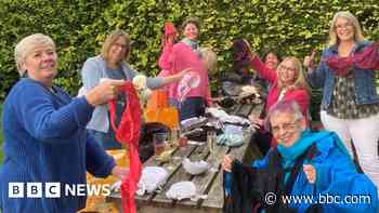 Wiltshire women's group calling for bra donations