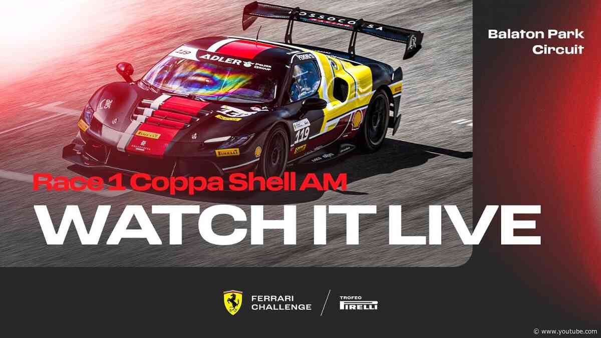 Ferrari Challenge Europe - Balaton, Race 1 - Coppa Shell AM