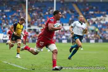 Scarlets end season on a high with Judgement Day win amid Wales injury concern