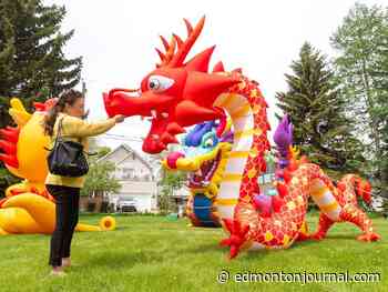 Dragon Festival breathes new life into Edmonton's Chinatown