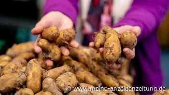 Edeka und Netto starten dringenden Kartoffel-Rückruf – bei Verzehr drohen heftige Magen-Darm-Probleme