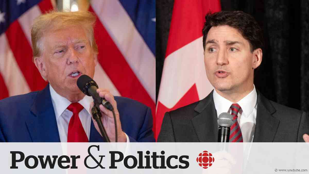 Political Pulse Panel: How does the Trump verdict impact Canadian politics?