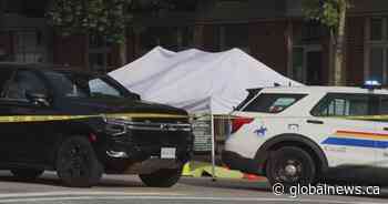 Man killed in daylight shooting in Maple Ridge