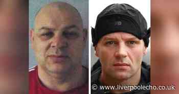 Daniel Gee and criminal brother waged war on north Liverpool's streets