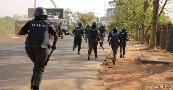 Enugu armed robbers abandon operation, drop gun after sighting police