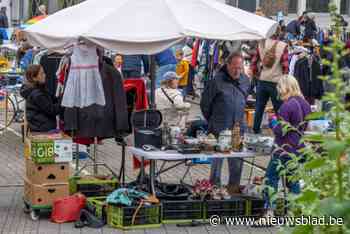 IN BEELD. Borgerhoutenaars amuseren zich op rommelmarkt op het Laar