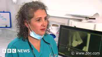 No way back for universal NHS coverage - dentist