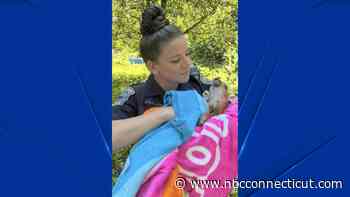 Mother and daughter help rescue newborn fawn in Granby