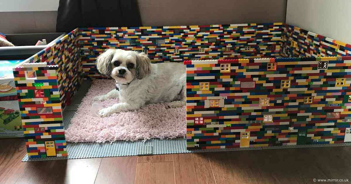 Lego-obsessed mum makes incredible life-sized dog houses for her pooch