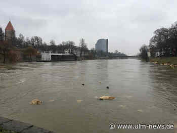 Stadt Neu-Ulm: Scheitel der Hochwasserwelle bald erreicht